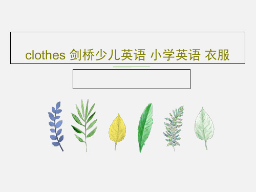clothes 剑桥少儿英语 小学英语 衣服20页PPT