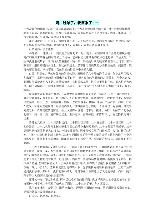 高中语文情感美文妈,过年了,我回家了……