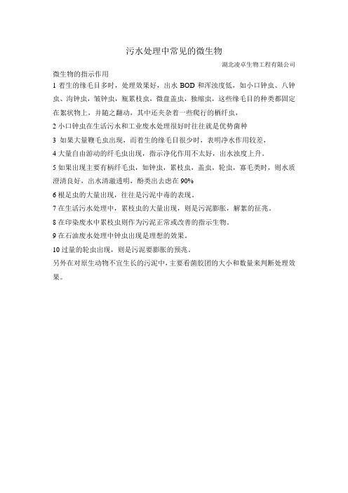 污水处理中常见的微生物