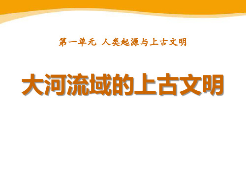 《大河流域的上古文明》人类起源与上古文明2-华师大版九年级历史上册
