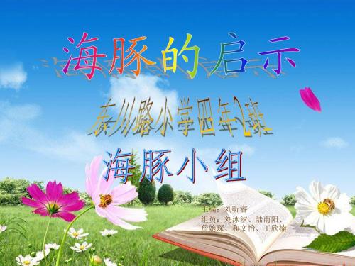 海豚的启示