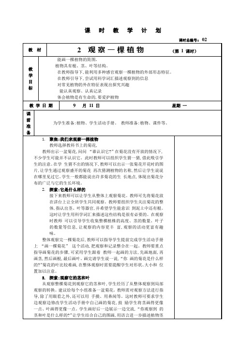 一年级科学--观察一棵植物