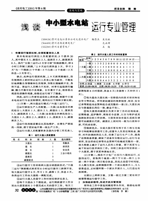 浅谈中小型水电站运行专业管理