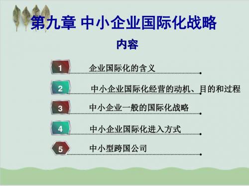 中小企业国际化战略讲义课件PPT课件( 30页)