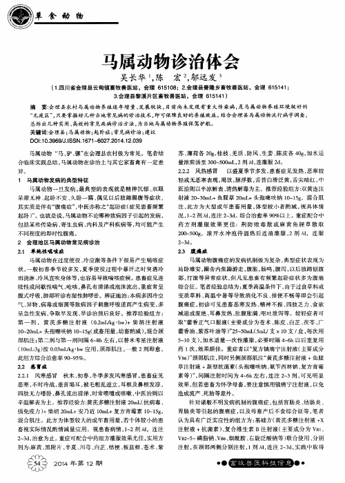 马属动物诊治体会