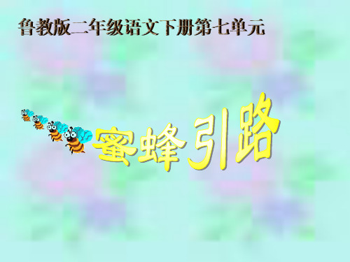 鲁教版语文二年级下册蜜蜂引路