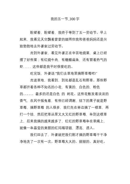 我的五一节_300字