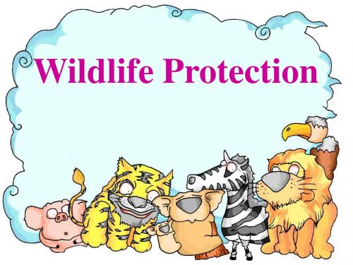 Unit4《Wildlifeprotection》课件20(25张PPT)(人教版必修2)