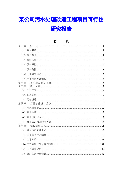 某公司污水处理改造工程项目可行性研究报告