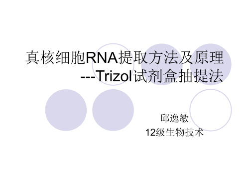 真核细胞RNA提取方法与原理---Trizol试剂盒抽提法