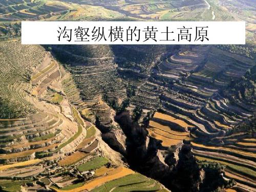 沟壑纵横的黄土高原