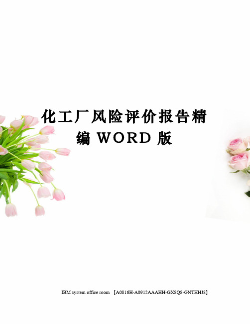 化工厂风险评价报告精编WORD版