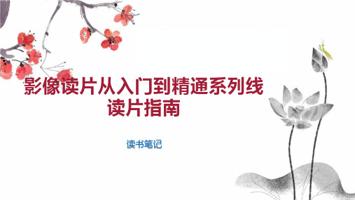 影像读片从入门到精通系列线读片指南