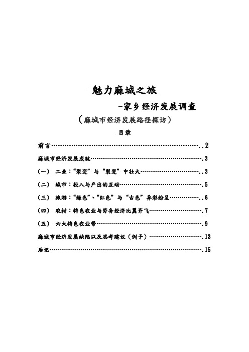 麻城市经济发展路径调查