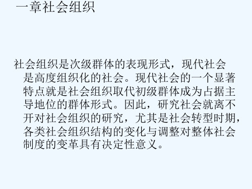社会学第十章社会组织