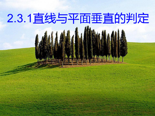 2.3.1直线与平面垂直的判定定理