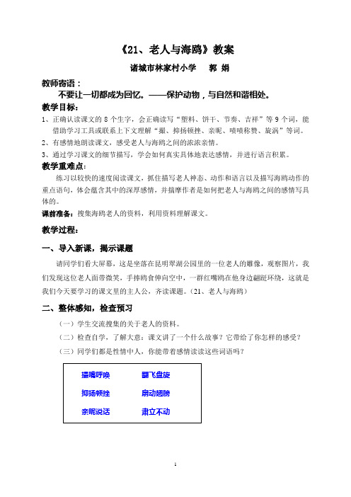 林家村小学 郭娟 六年级《21、老人与海鸥》教案