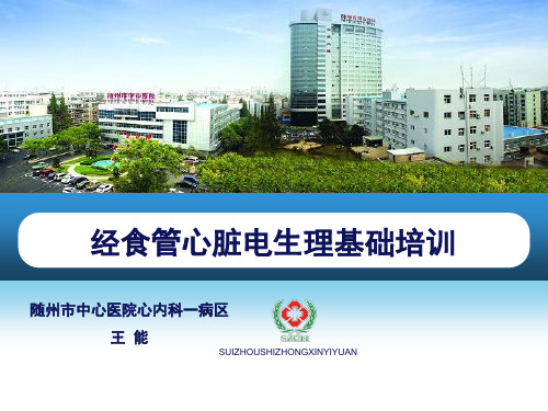 经食管心脏电生理操作基础