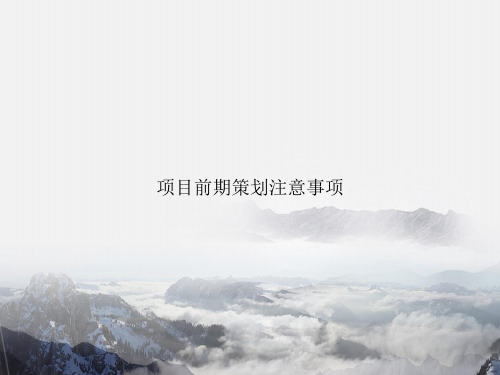 项目前期策划注意事项讲课文档