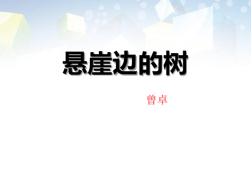 《悬崖边的树》 图文