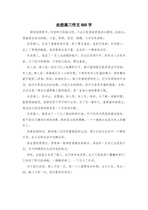 走进高三作文800字