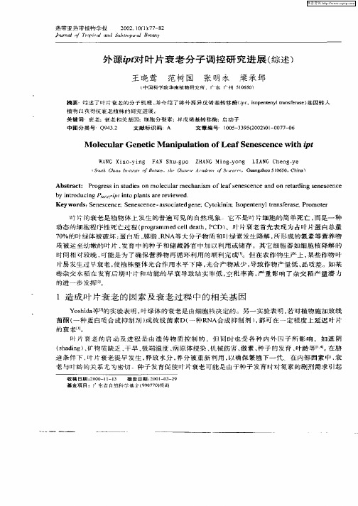 外源ipt对叶片衰老分子调控研究进展(综述)