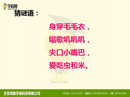 一年级上语文课件数小鸡3_ 沪教版