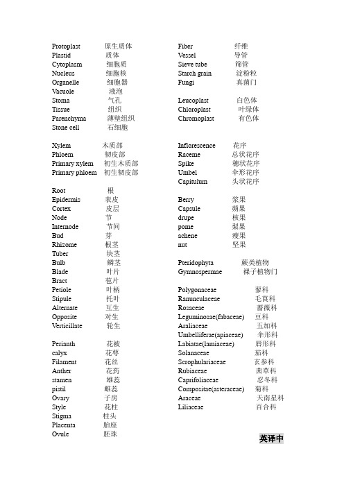 药用植物学(含检索表)