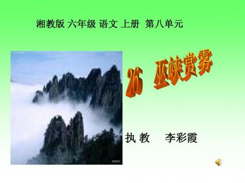 湘教版 六年级 语文 上册 第八单元