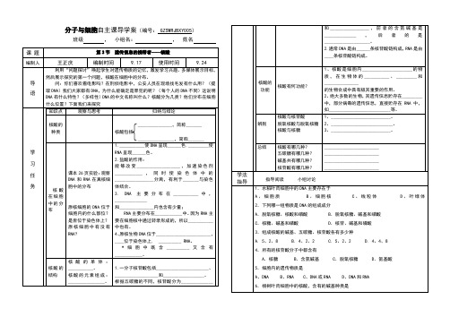 遗传信息的携带者——核酸学案