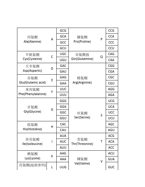 密码子对照表.