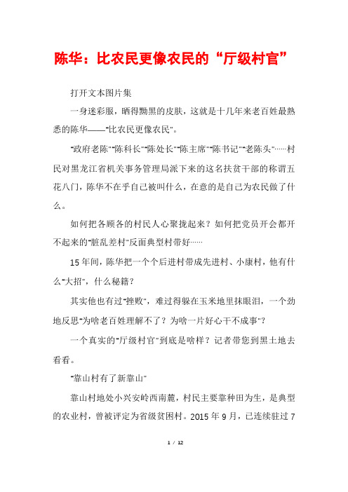 陈华：比农民更像农民的“厅级村官”