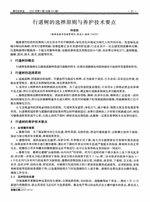 行道树的选择原则与养护技术要点