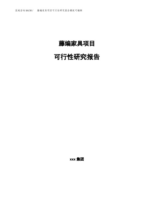 藤编家具项目可行性研究报告模板可编辑