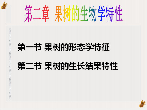 果树的生物学特性课件PPT