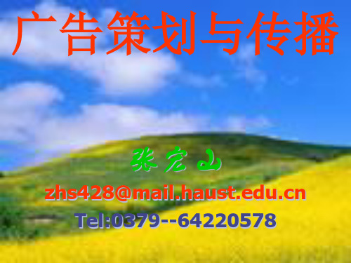 广告策划与传播广告效果的测定.pptx