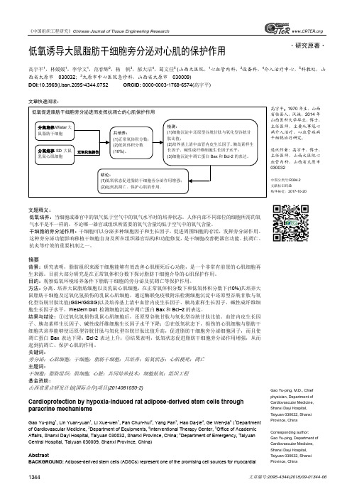 低氧诱导大鼠脂肪干细胞旁分泌对心肌的保护作用