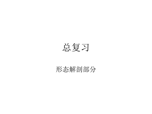 植物学总复习形态解剖部分