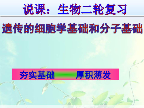 高中生物复习：《遗传的细胞学基础和分子基础》说课课件