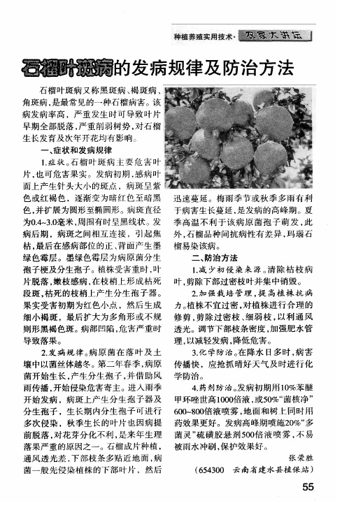 石榴叶斑病的发病规律及防治方法