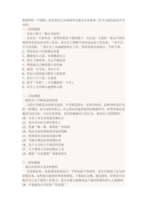 如何带好一个团队