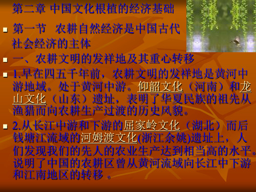 第二章 中国文化根植的经济基础