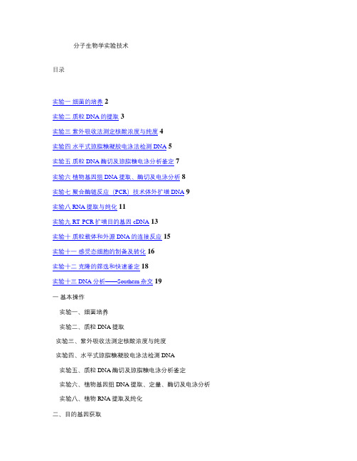 分子生物学实验技术全攻略