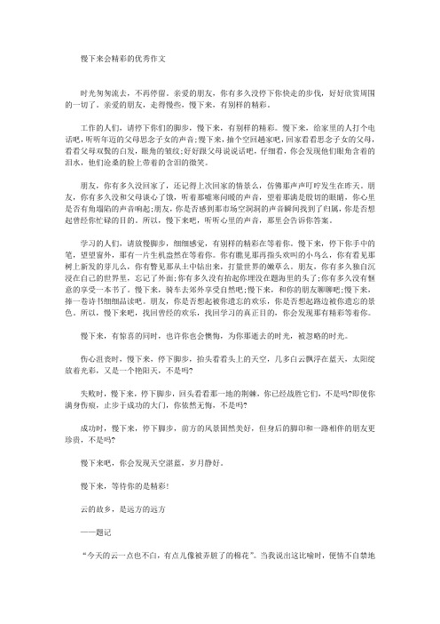 慢下来会精彩的优秀作文(最新)
