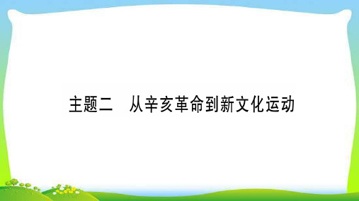 中考历史总复习2.2从辛亥革命到新文化运动完美