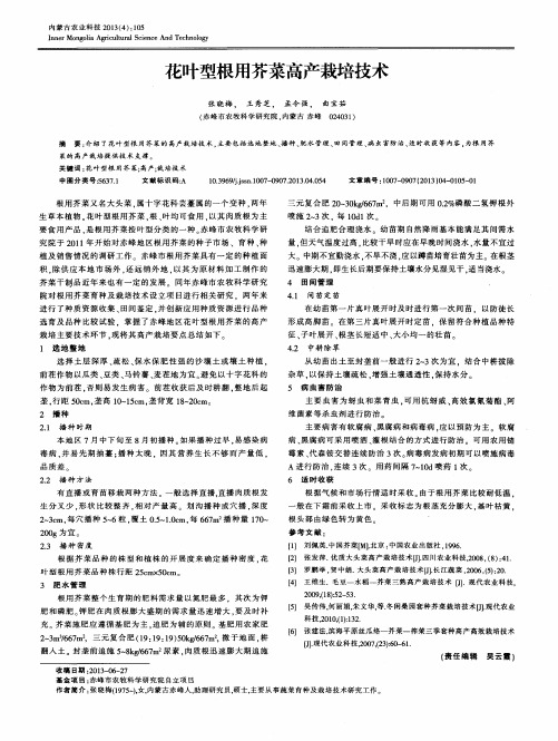 花叶型根用芥菜高产栽培技术