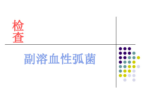 KJ01副溶血性弧菌检验.