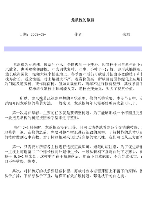 龙爪槐的修剪