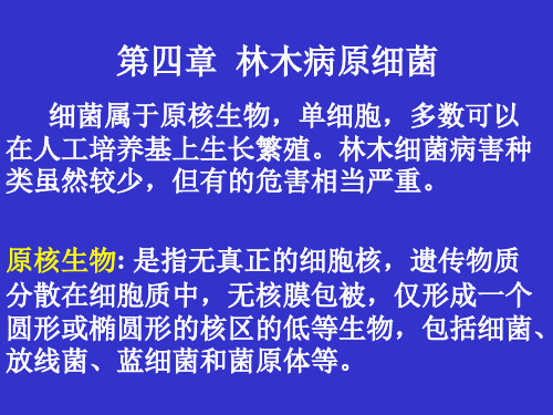 第四章 林木病原细菌和病毒