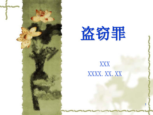 盗窃罪(含修正案八)PPT精选文档